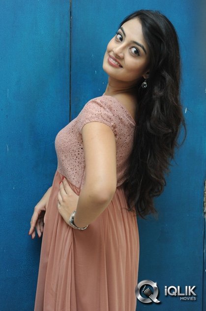 Nikitha-Narayan-at-Ladies-and-Gentlemen-Movie-Song-Launch